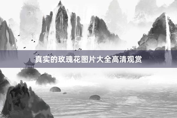 真实的玫瑰花图片大全高清观赏